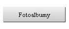 Fotoalbumy