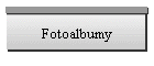 Fotoalbumy