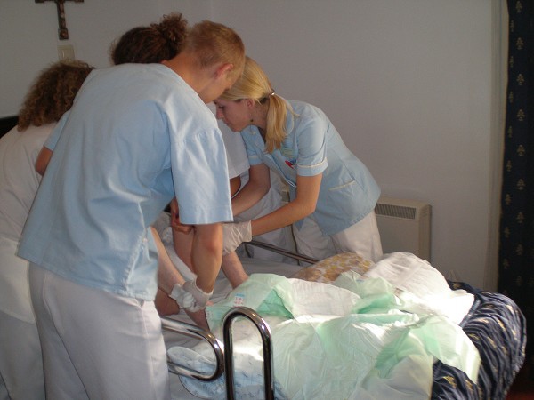 Projekt  2007