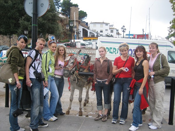 Projekt  2007