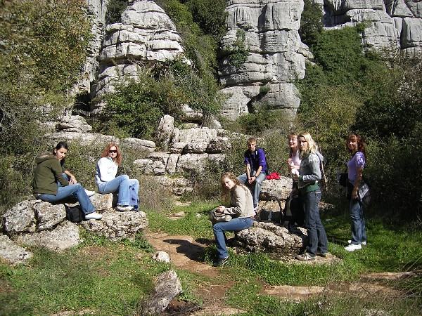 Projekt  2007