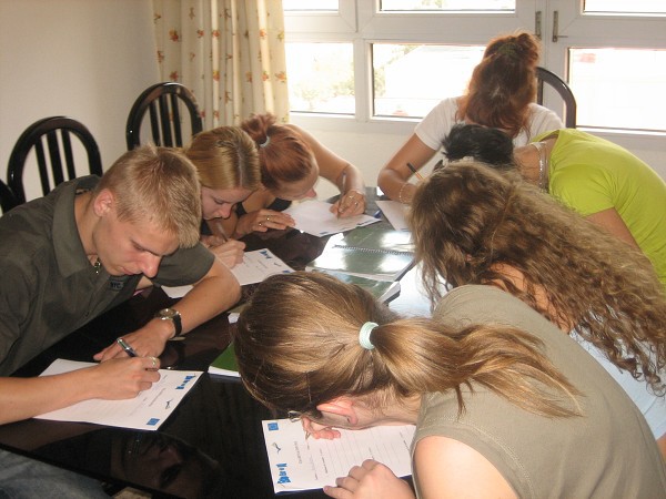 Projekt  2007