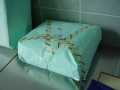 sterilizacia18