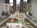 vernisaz_201030